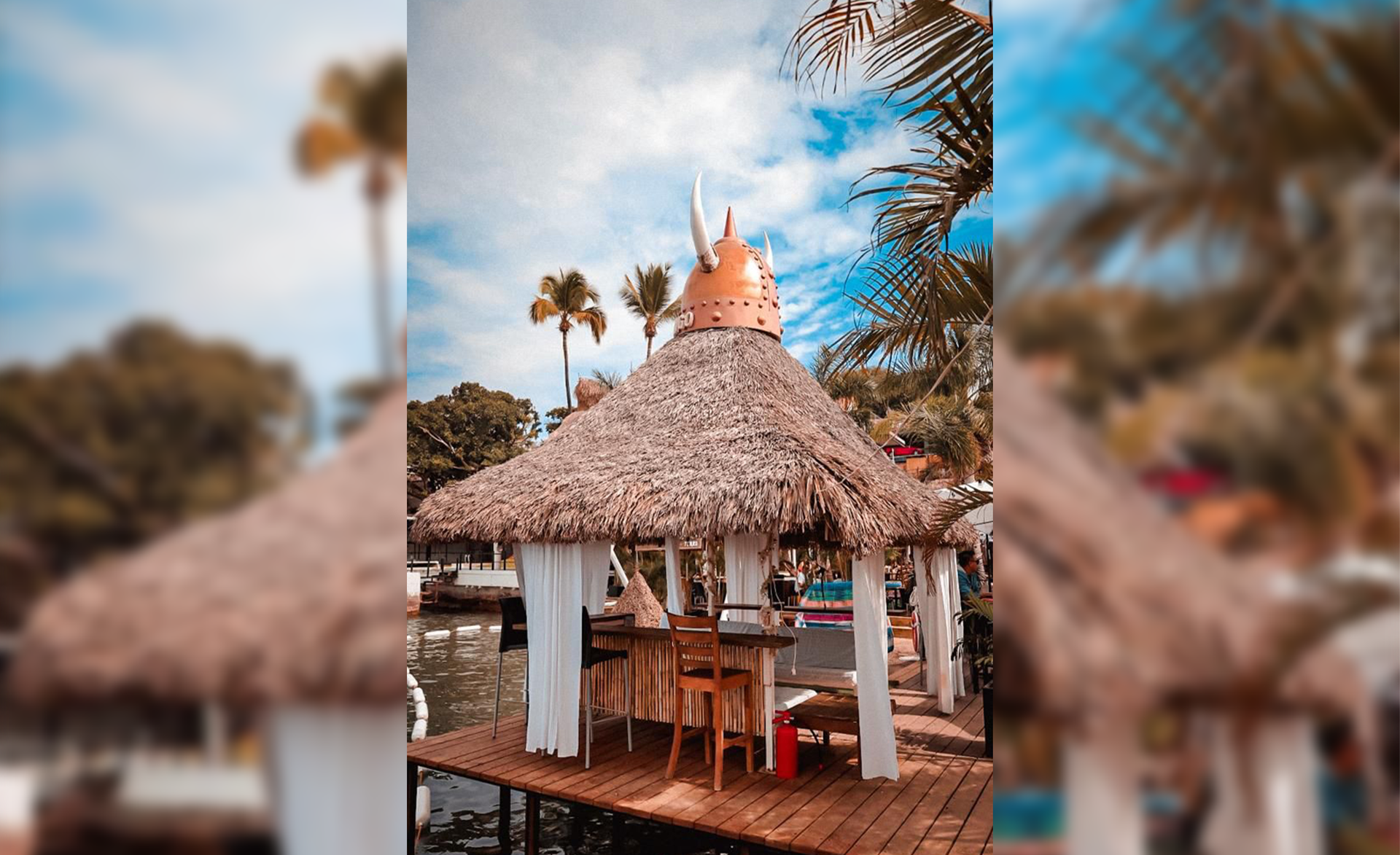 palapa-1.png