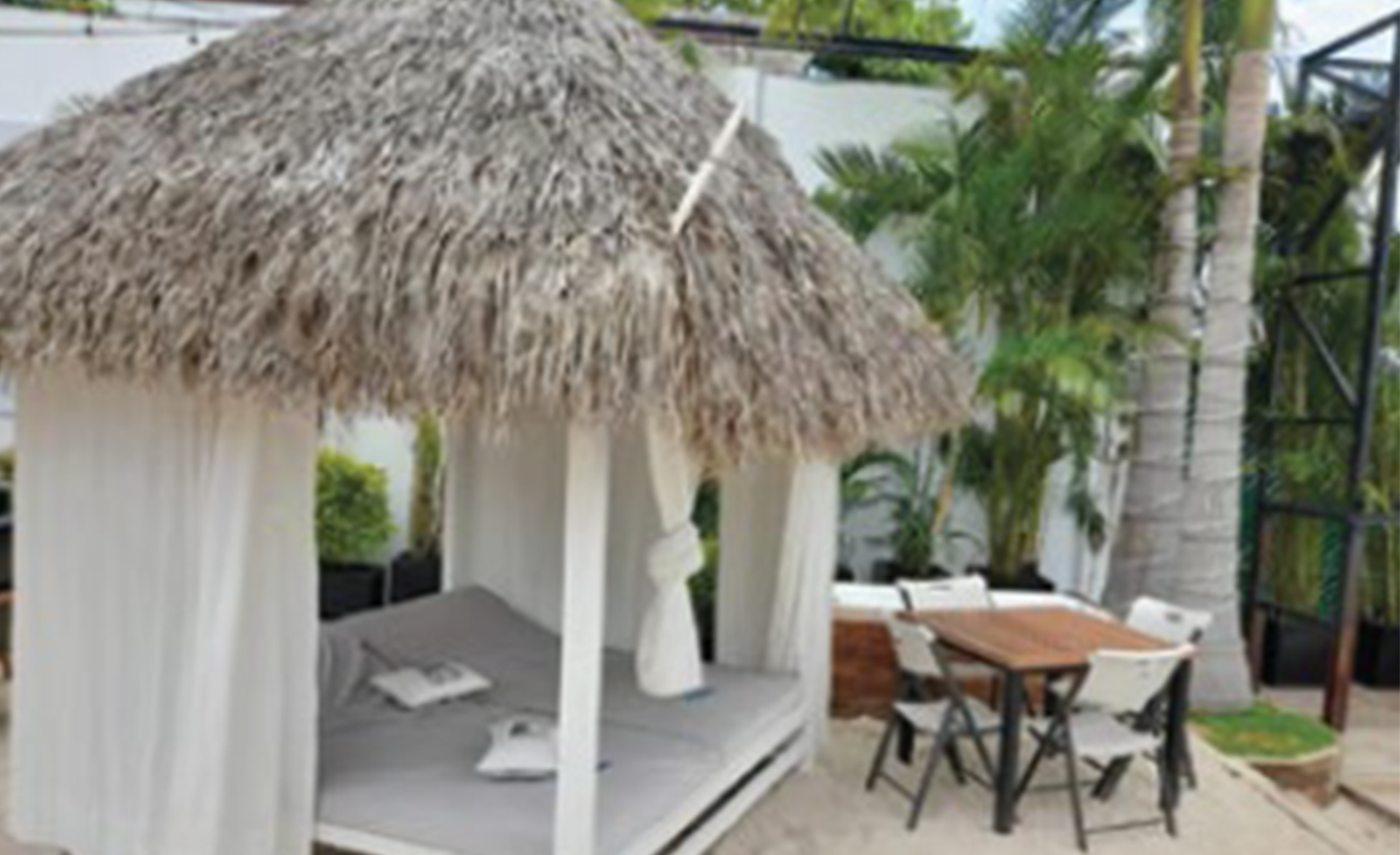 palapa_-1.png