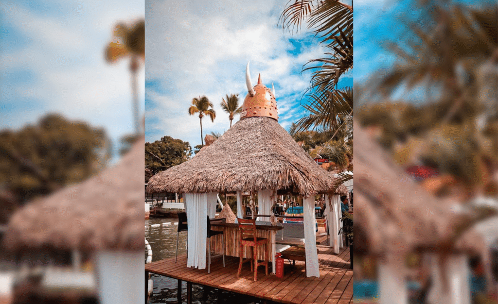 palapa_2-1.png