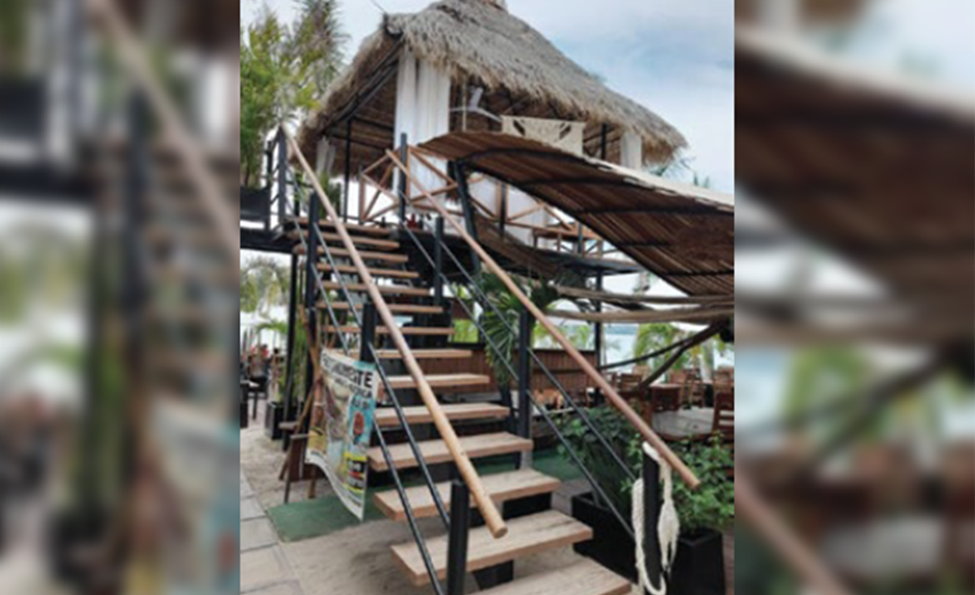 palapa_3-1.png