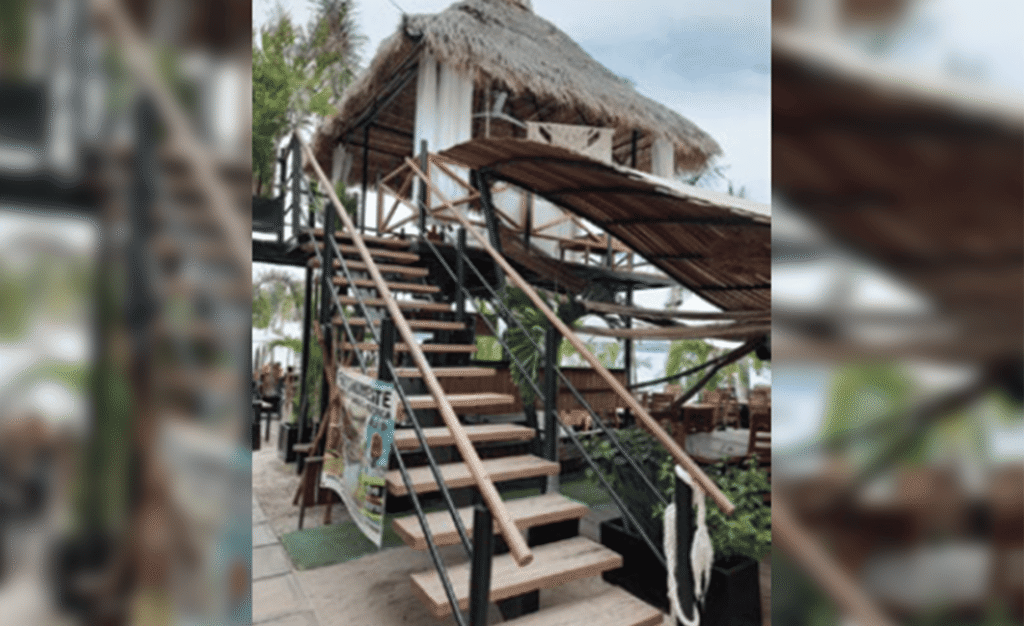 palapa_3.png