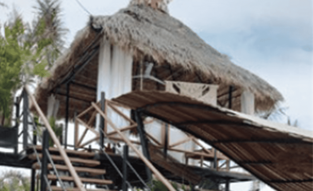 palapa_4.png